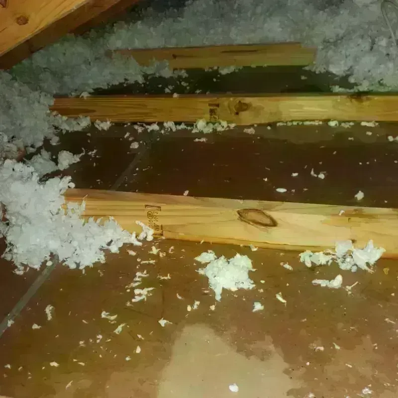 Attic Water Damage in North Haven, CT